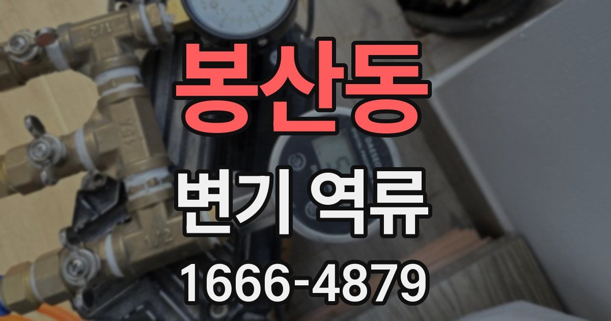 봉산동 변기 역류