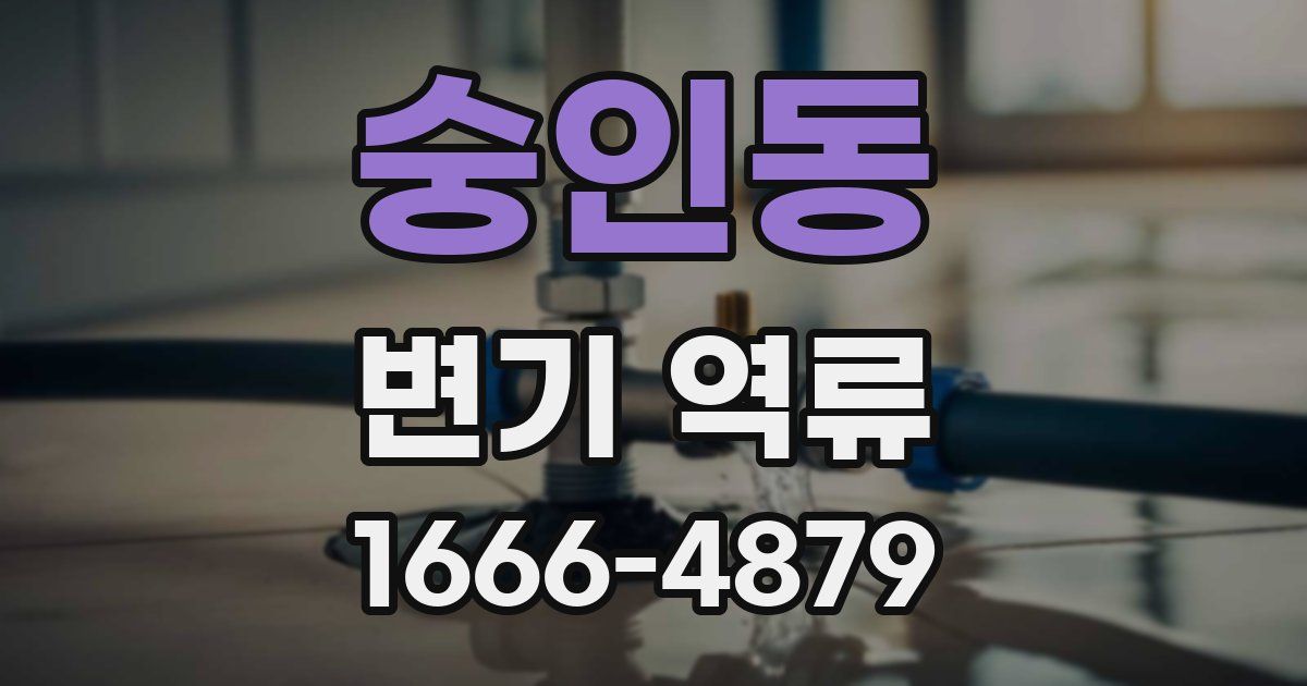 숭인동 변기 역류