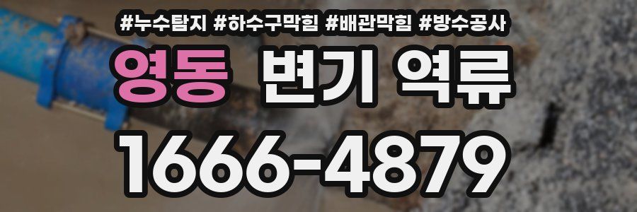영동 변기 역류