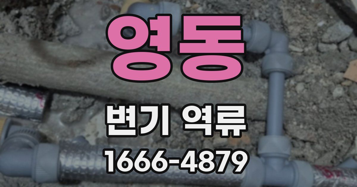 영동 변기 역류