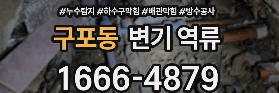 구포동 변기 역류