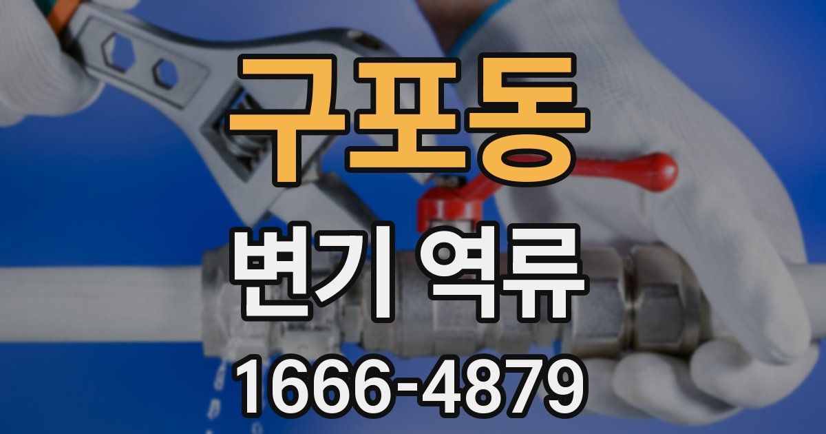 구포동 변기 역류