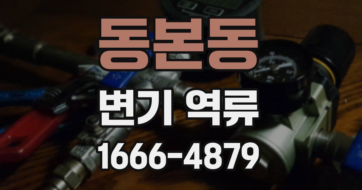 동본동 변기 역류