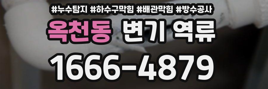 옥천동 변기 역류