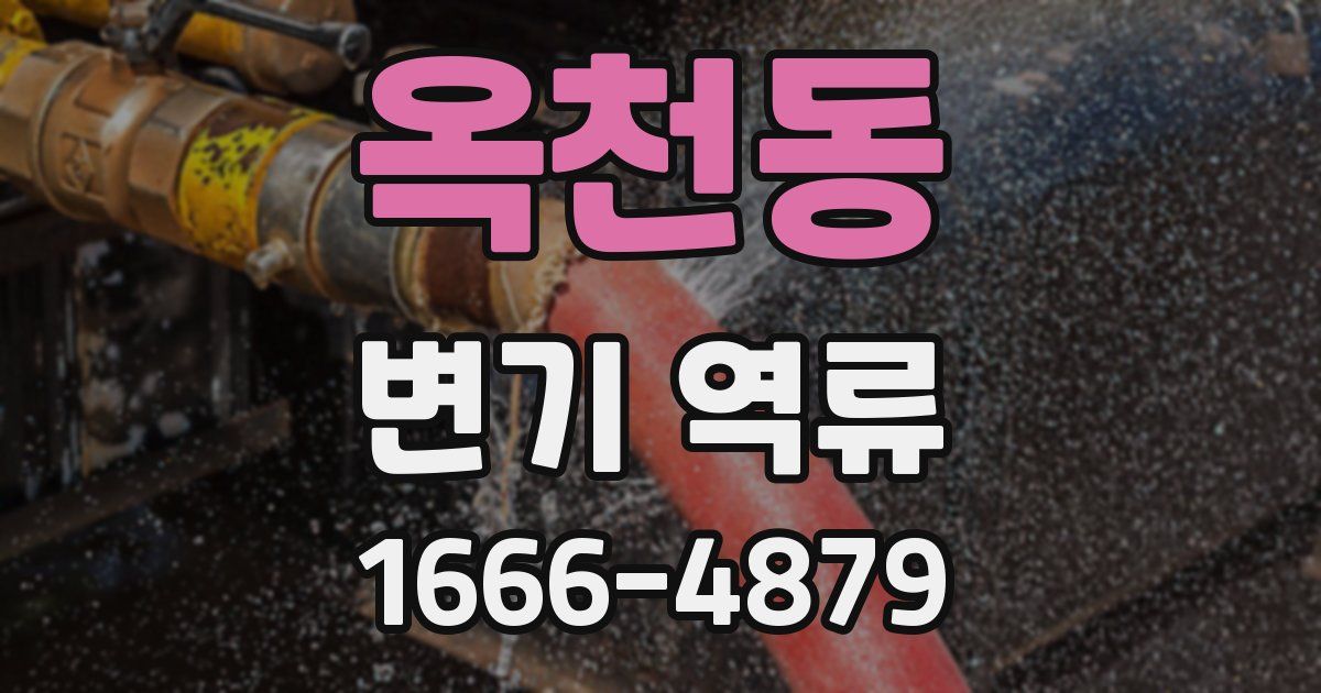 옥천동 변기 역류