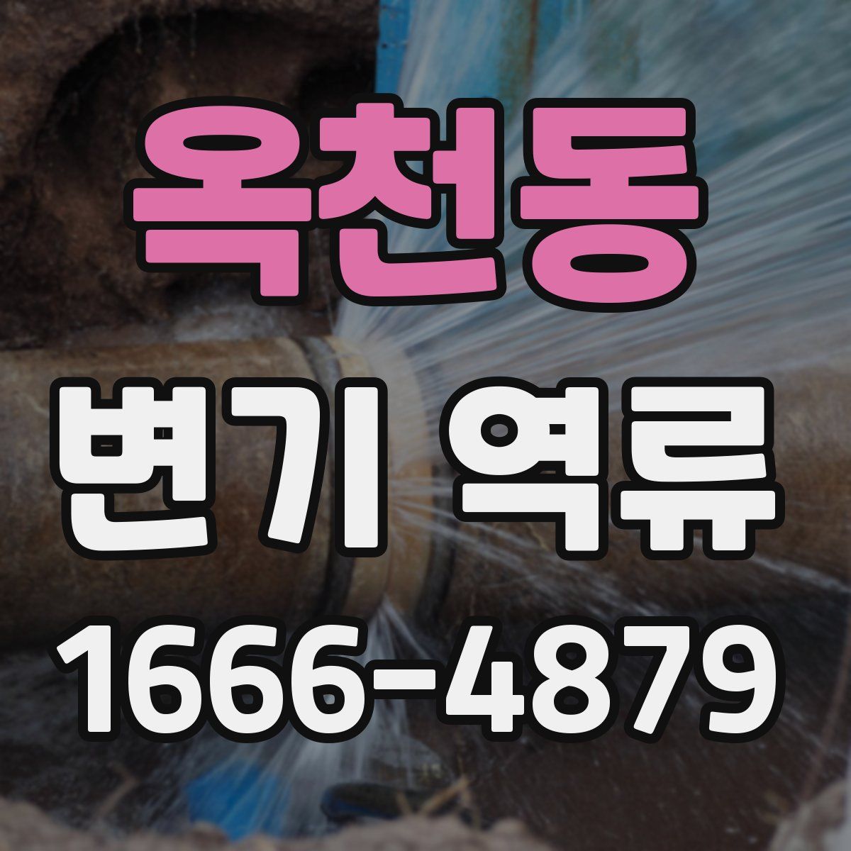옥천동 변기 역류