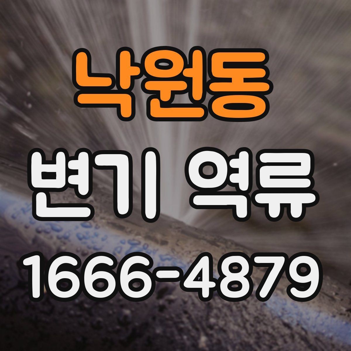 낙원동 변기 역류 화장실 전체 배수 상태를 함께 확인하기