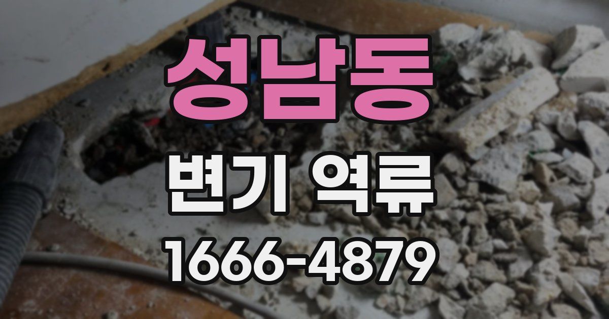 성남동 변기 역류