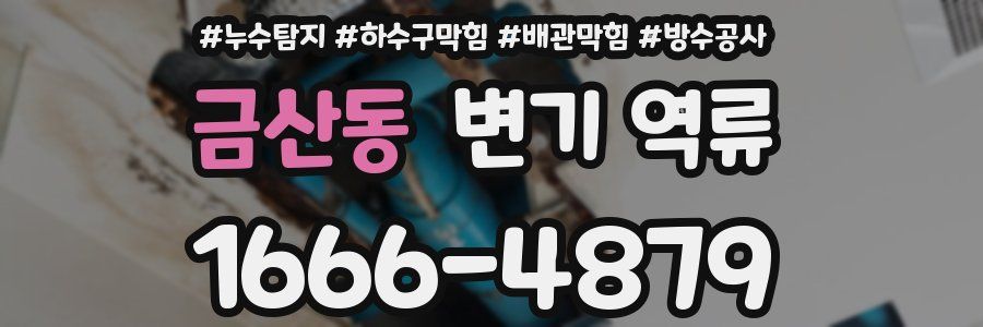 금산동 변기 역류