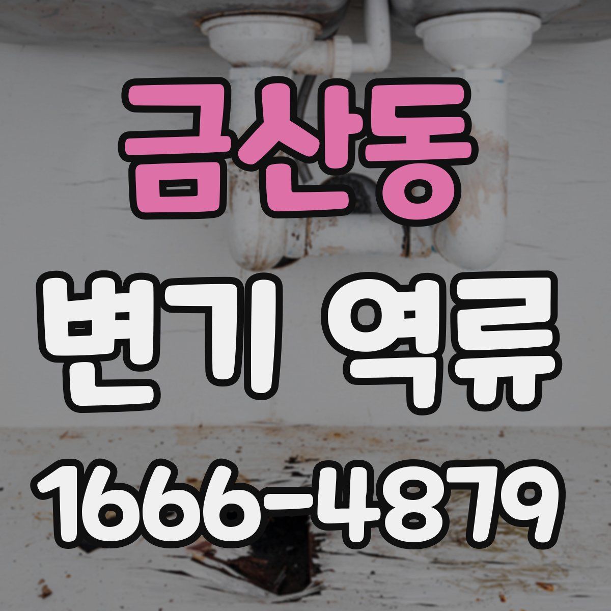 금산동 변기 역류