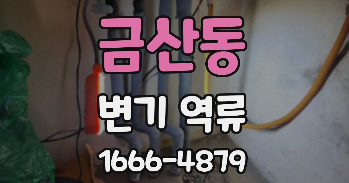 금산동 변기 역류