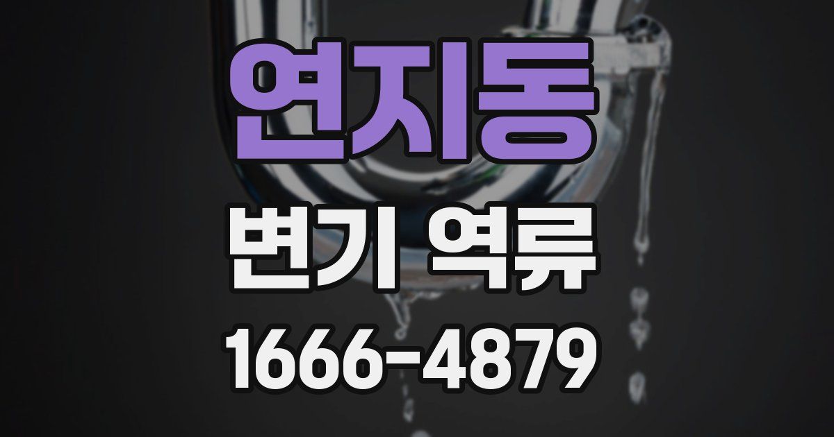 연지동 변기 역류