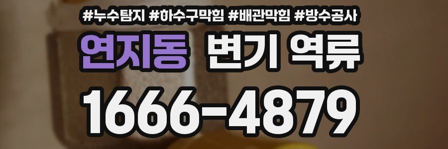 연지동 변기 역류