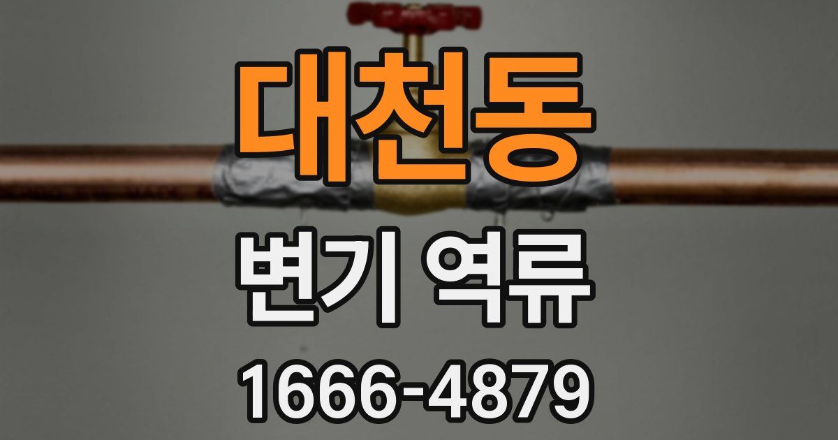 대천동 변기 역류