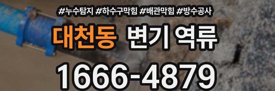 대천동 변기 역류