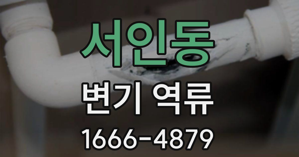 서인동 변기 역류