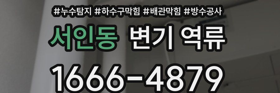 서인동 변기 역류
