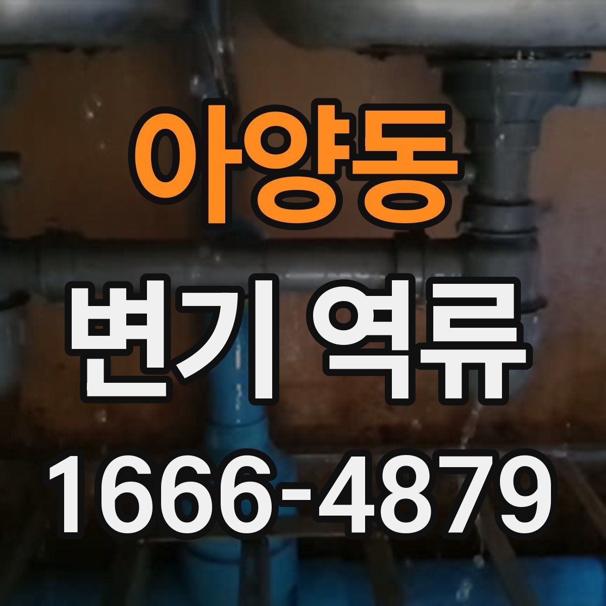 아양동 변기 역류 원인부터 대처까지 한눈에 보기