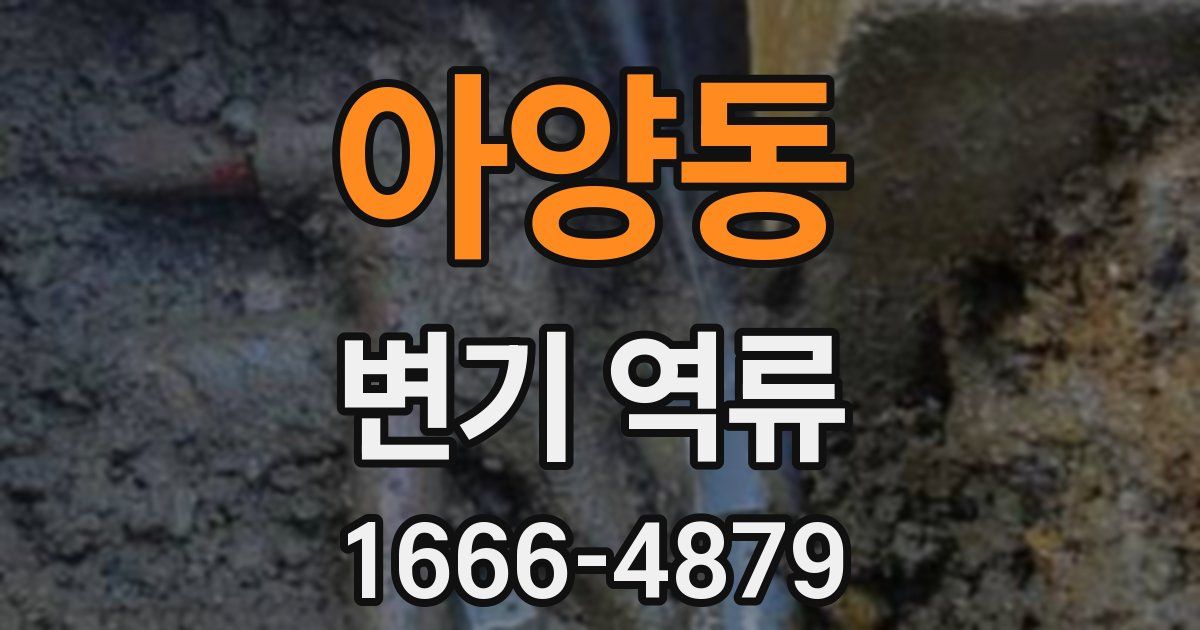 아양동 변기 역류
