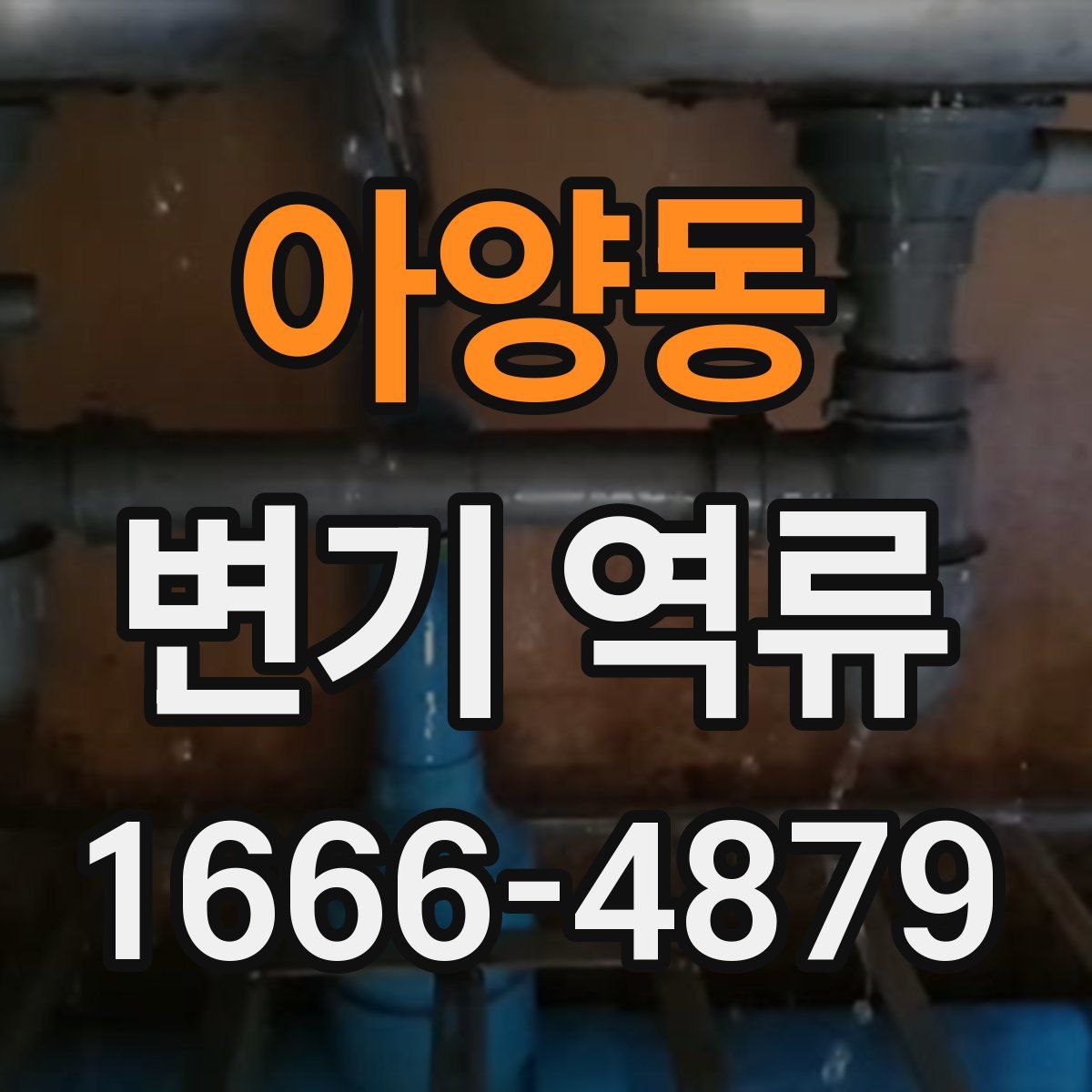 아양동 변기 역류
