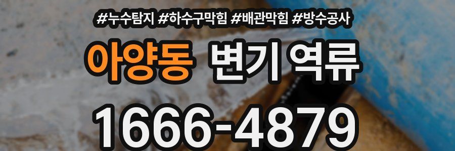 아양동 변기 역류