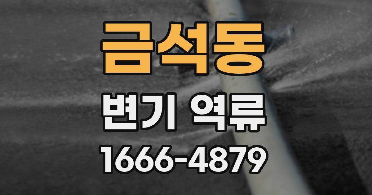 금석동 변기 역류