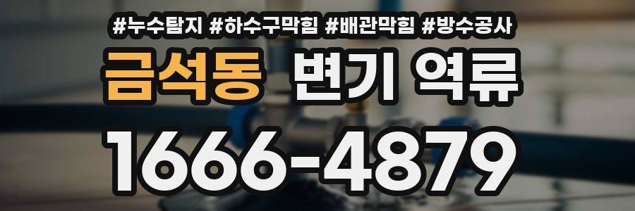 금석동 변기 역류