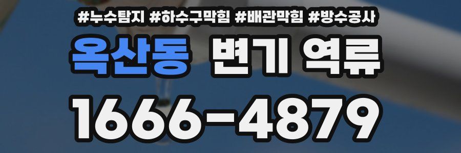 옥산동 변기 역류