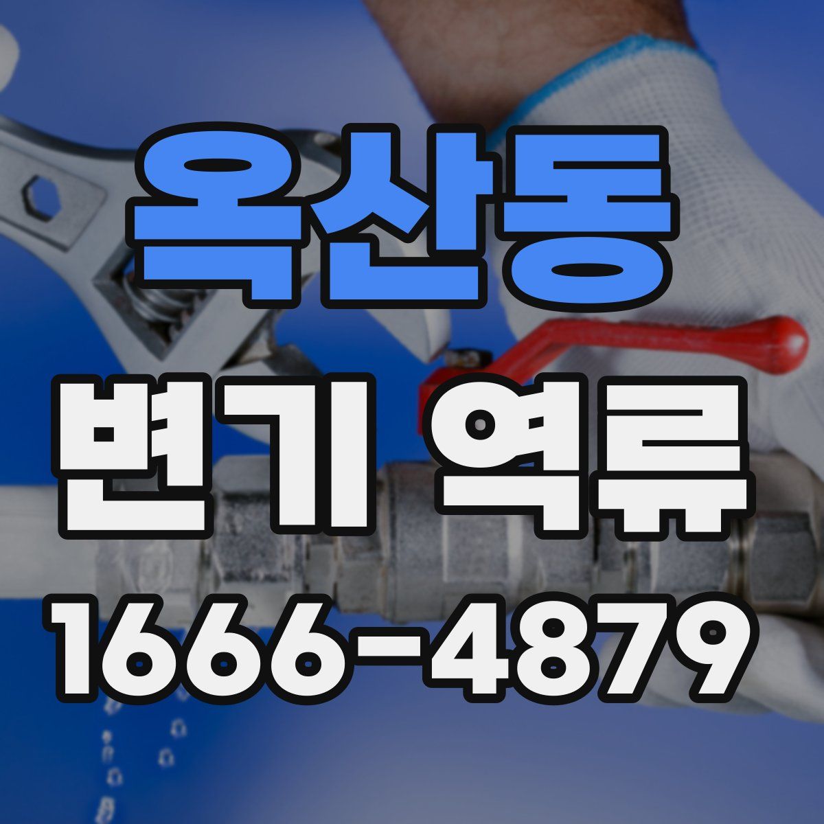 옥산동 변기 역류