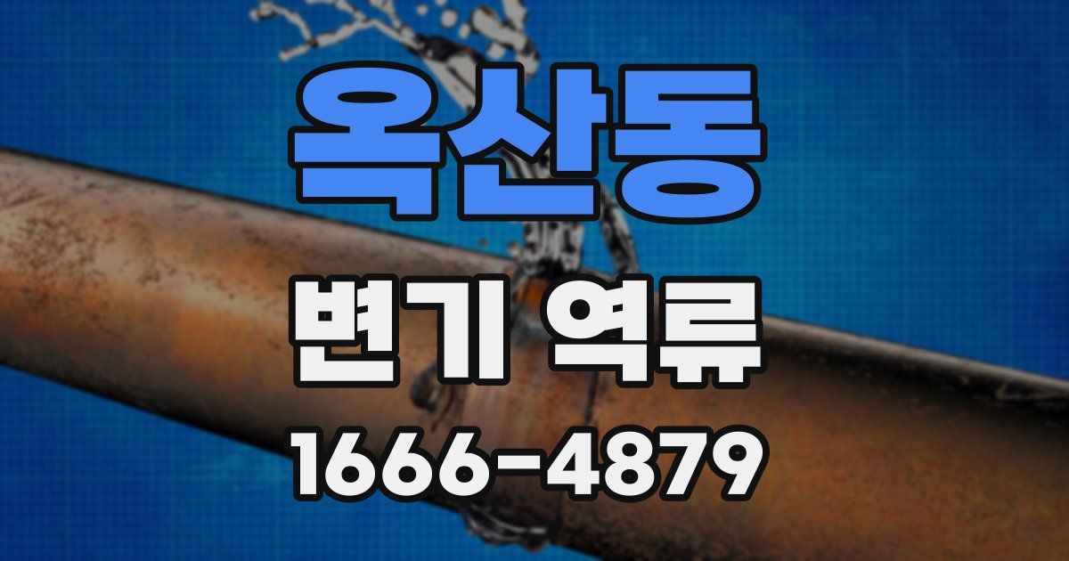 옥산동 변기 역류