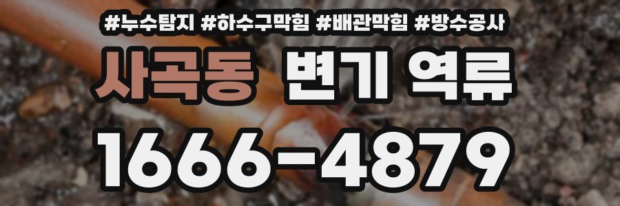 사곡동 변기 역류