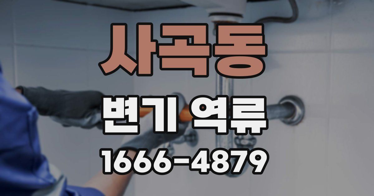 사곡동 변기 역류