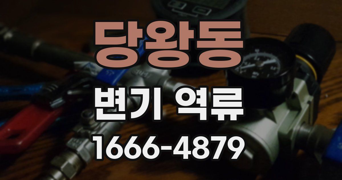 당왕동 변기 역류