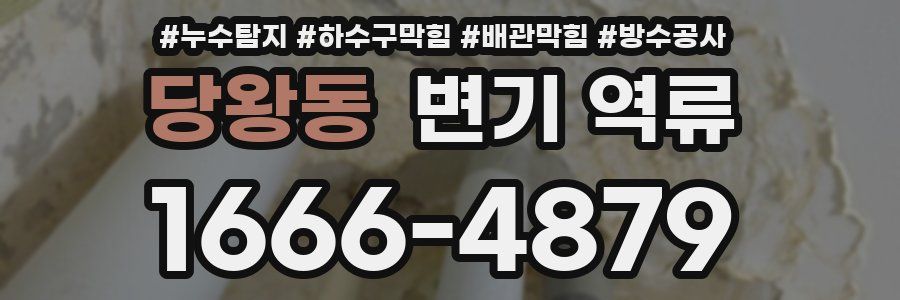 당왕동 변기 역류