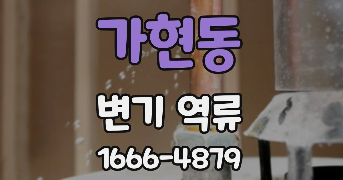 가현동 변기 역류