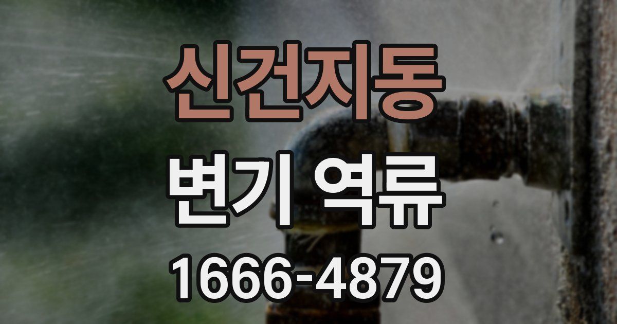 신건지동 변기 역류