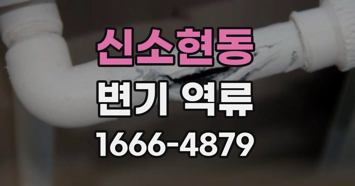 신소현동 변기 역류