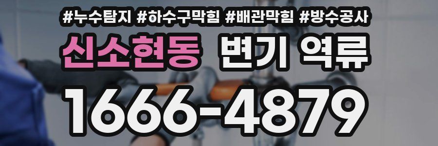신소현동 변기 역류