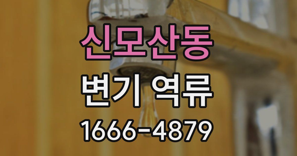 신모산동 변기 역류
