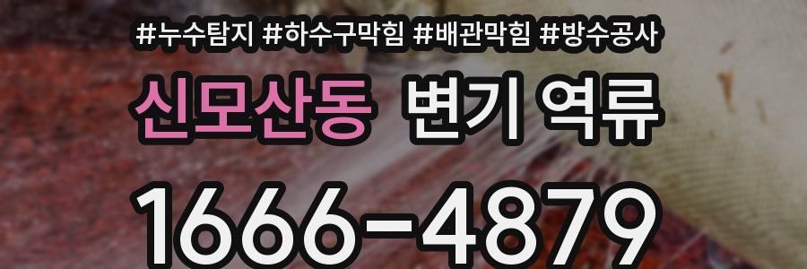 신모산동 변기 역류