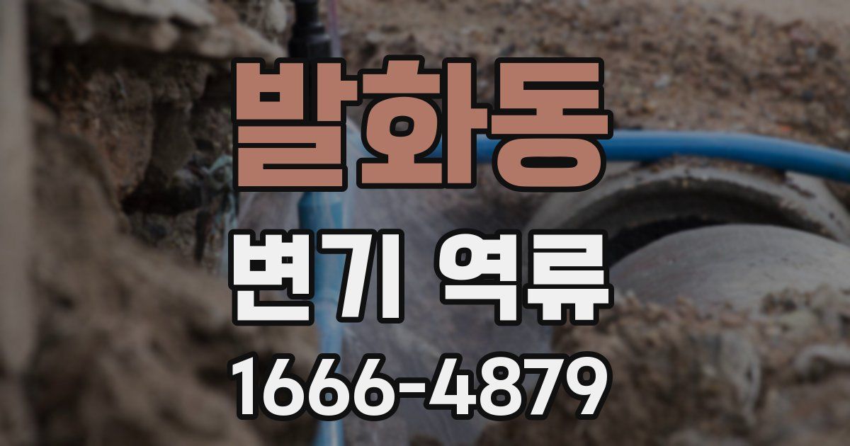 발화동 변기 역류
