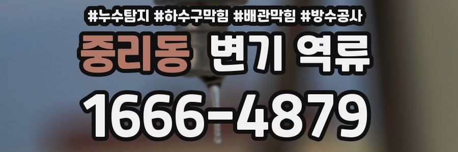 중리동 변기 역류