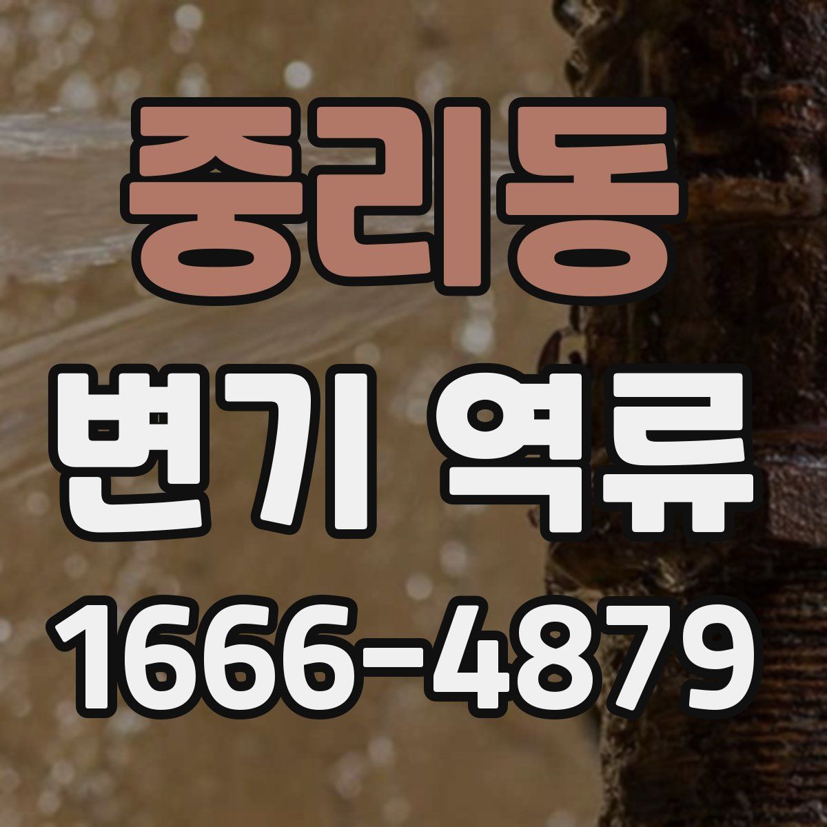 중리동 변기 역류