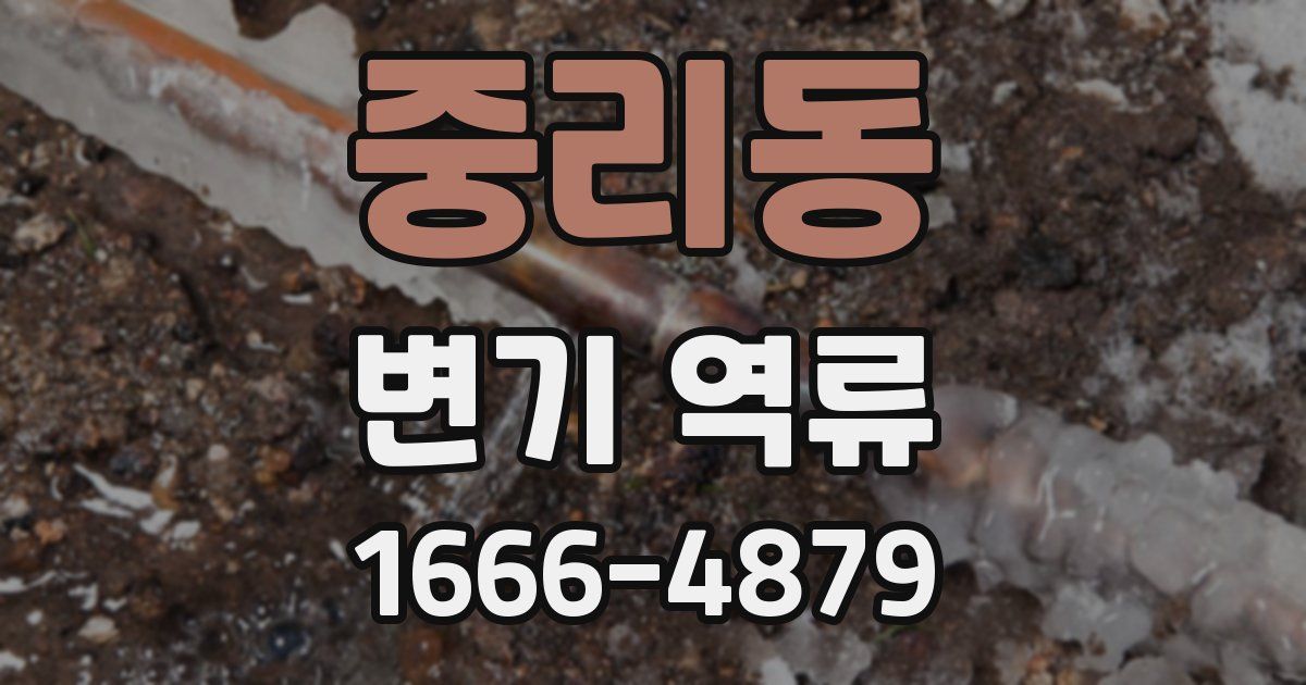 중리동 변기 역류