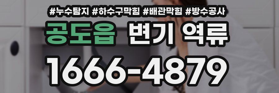 공도읍 변기 역류