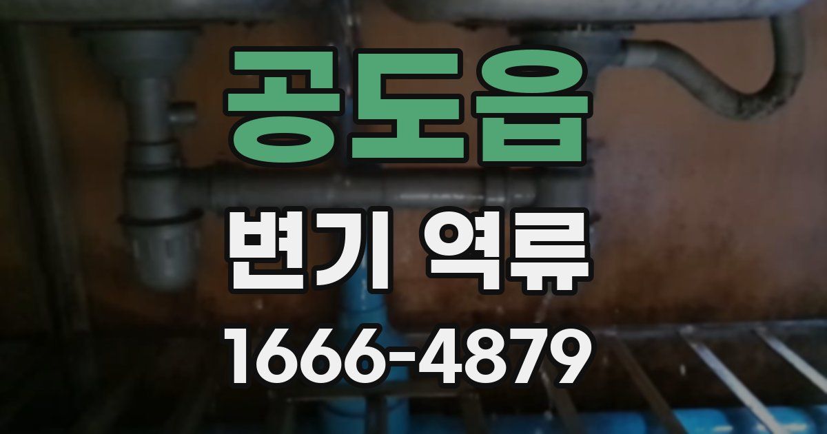 공도읍 변기 역류