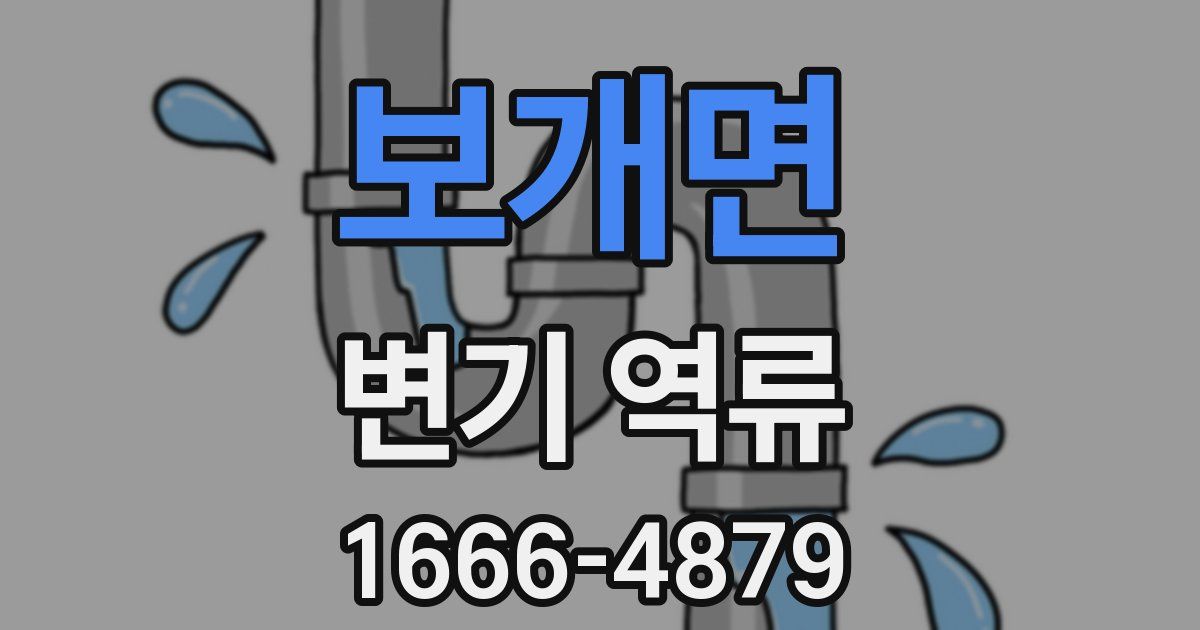 보개면 변기 역류