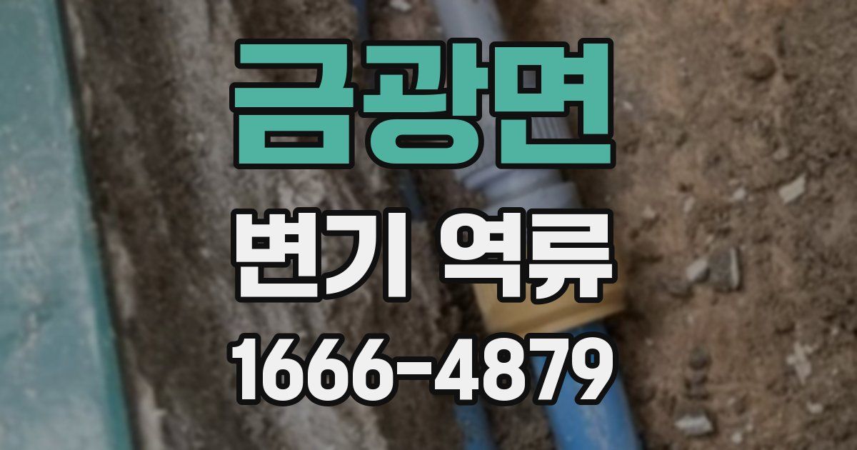 금광면 변기 역류
