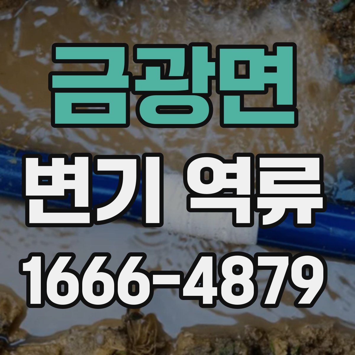 금광면 변기 역류