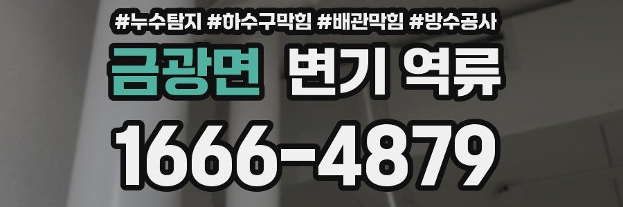금광면 변기 역류